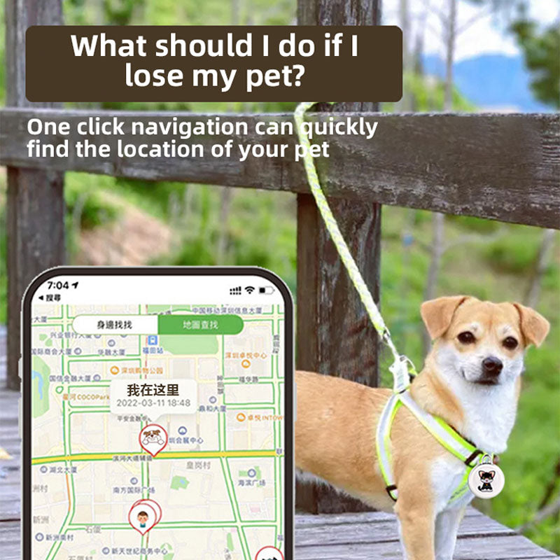 Pet Loss Preventer Global Positioning Airtag