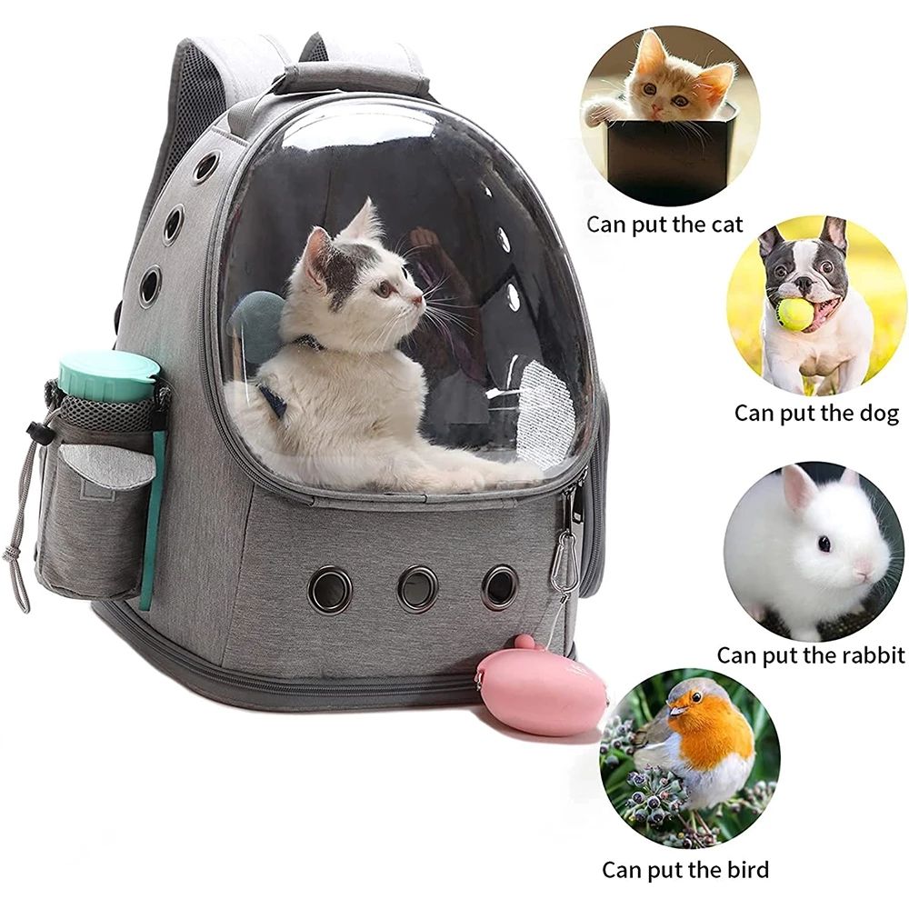 Cat Backpack